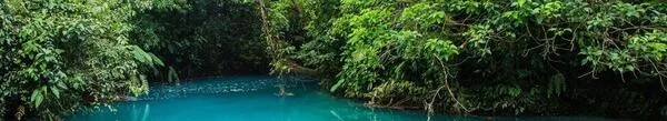 Rio Celeste Rainforest Hike & Waterfall