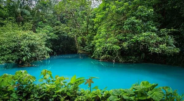 Rio Celeste Tour from La Fortuna (Lunch Included)