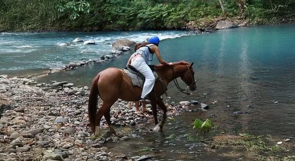 Horseback Riding, Tubing & Zipline Action Combo (Lunch Included)