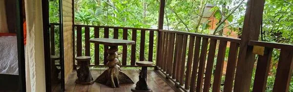 Where to Stay Near Rio Celeste: A Local Guide's Top Picks
