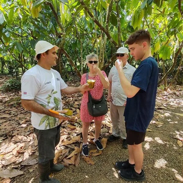 Rainforest Chocolate Tasting