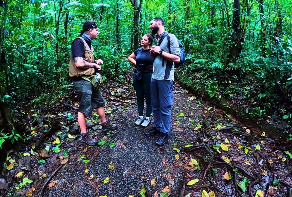 trail in tenorio national park