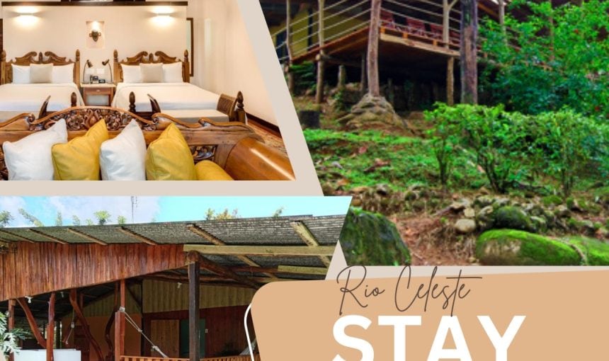 Where to stay