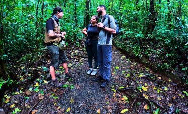 a group of people standing in a forest
