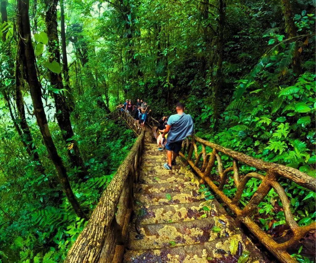 a group of people walking on a wooden bridge in the woods