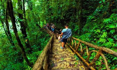 a group of people walking on a wooden bridge in the woods