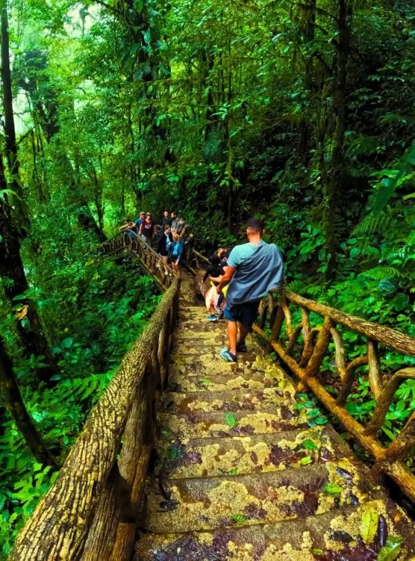 a group of people walking on a wooden bridge in the woods